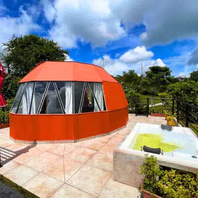 Estadía-entre-Árboles-de-Café