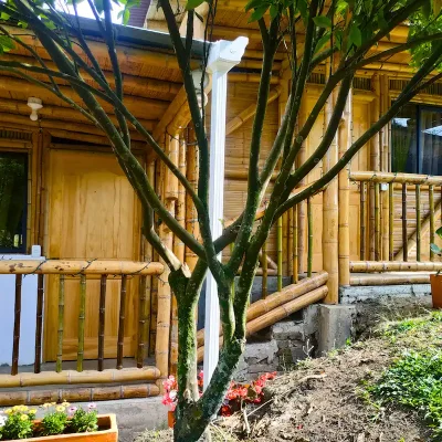 Experiencia-de-Tostón-de-Café-en-Colombia